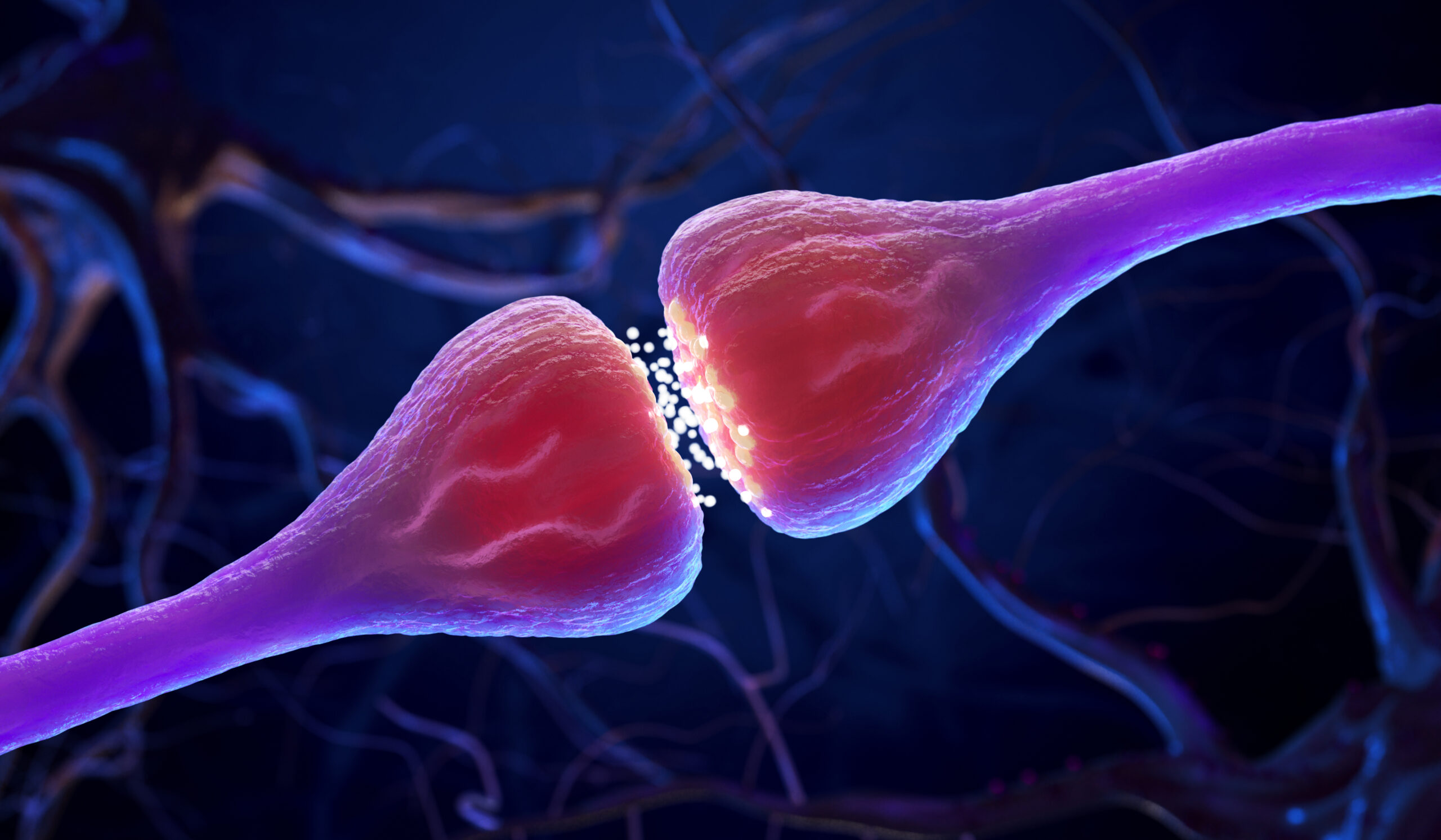 3D illustration of a synapse and Neuron cells sending electrical chemical signals.