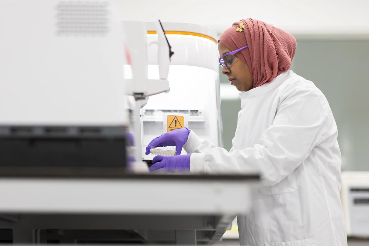 A female LifeArc scientist in gloves, lab coat, hijab and safety glasses lifts a plate from a lab machine.